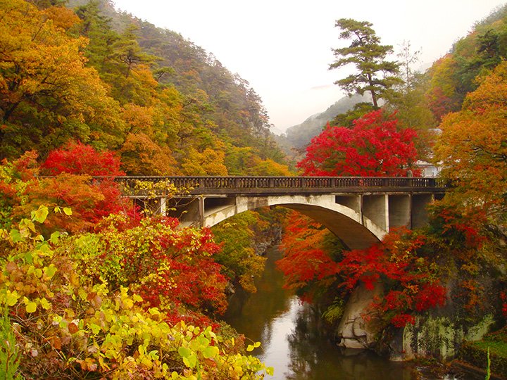 🏞️ 여덟 겹 폭포(야에다키) 이미지 6